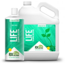 RX Green Solutions Life Cloning Solution