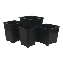 Premium Black Square Pots